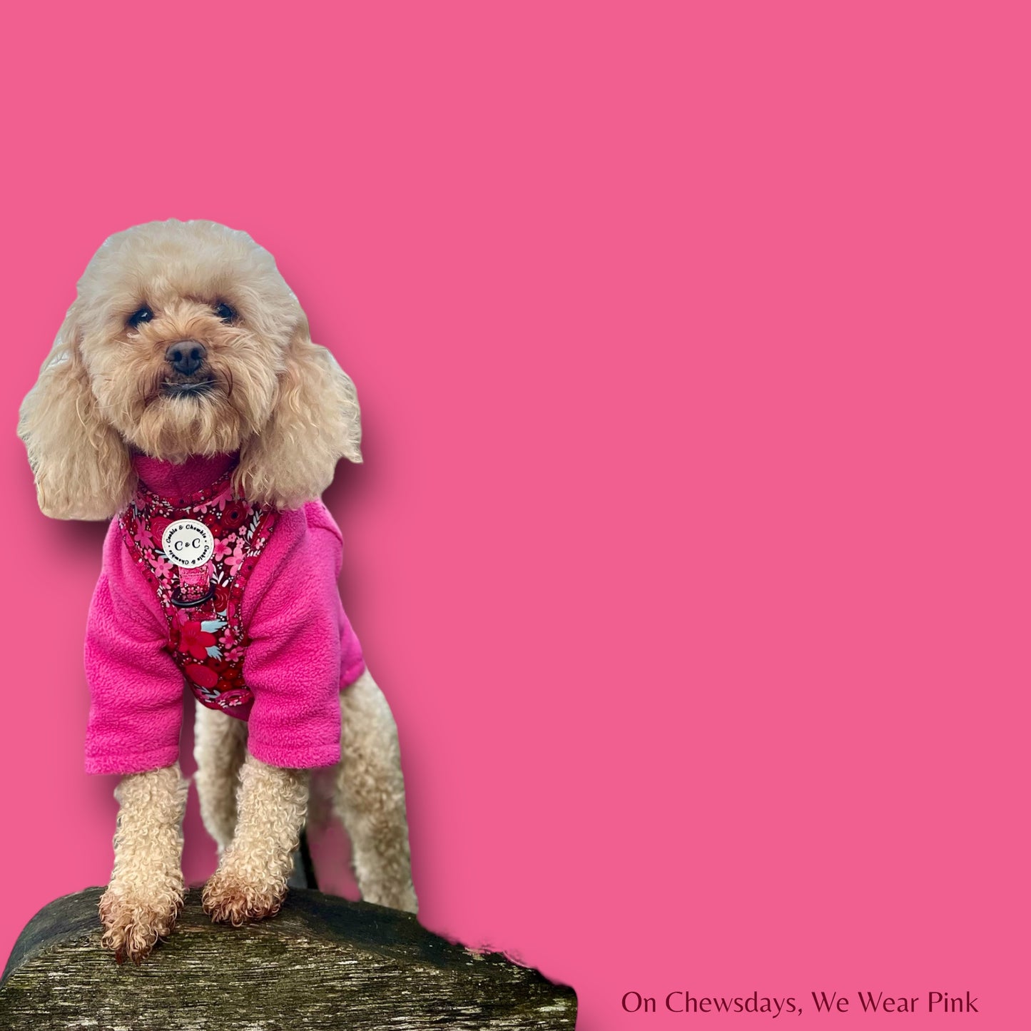 Adjustable Harness - 'On Chewsdays, We Wear Pink'