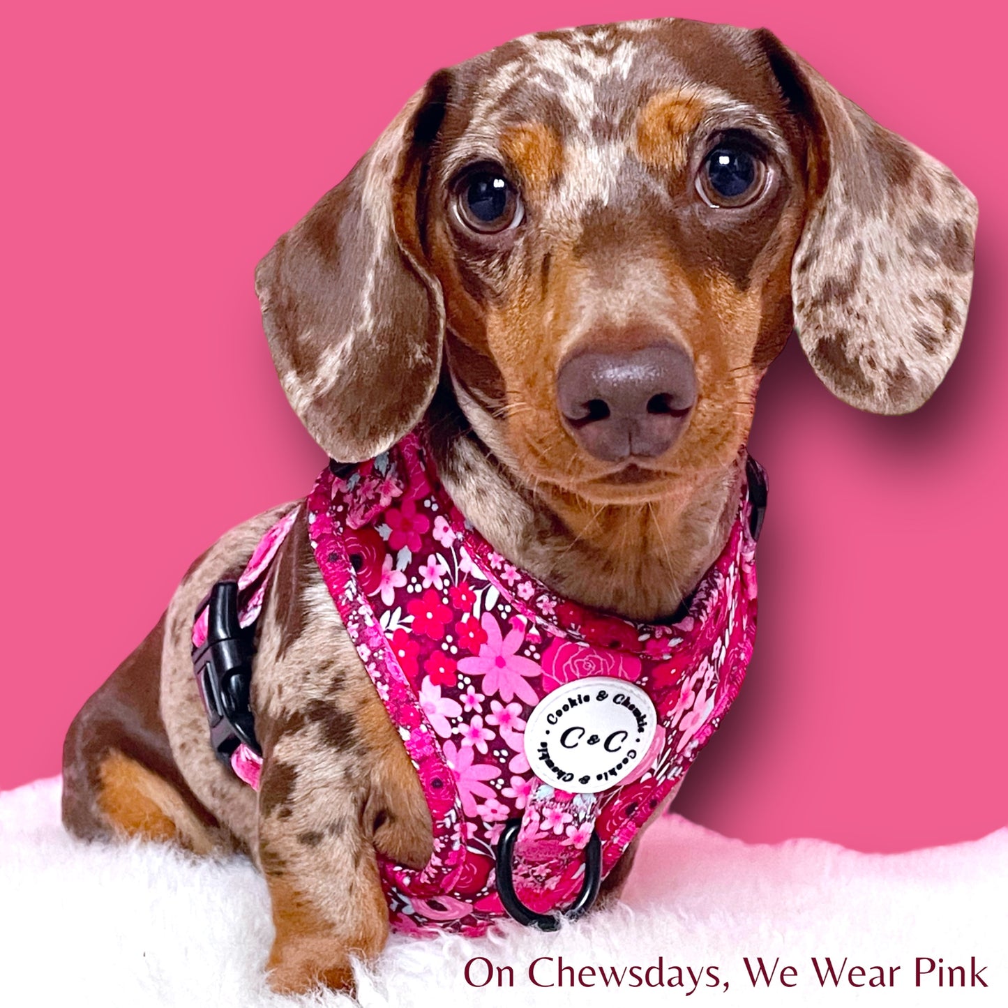 Adjustable Harness - 'On Chewsdays, We Wear Pink'