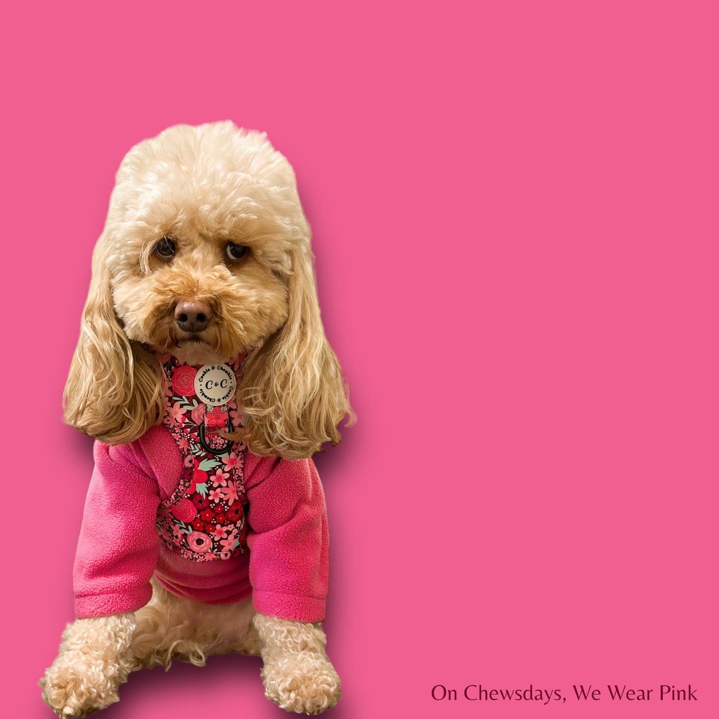 Adjustable Harness - 'On Chewsdays, We Wear Pink'