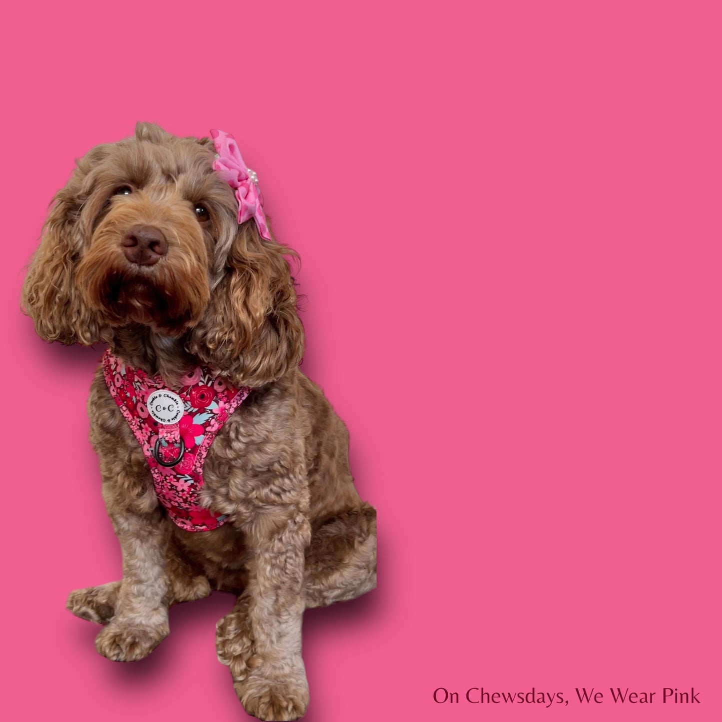 Adjustable Harness - 'On Chewsdays, We Wear Pink'