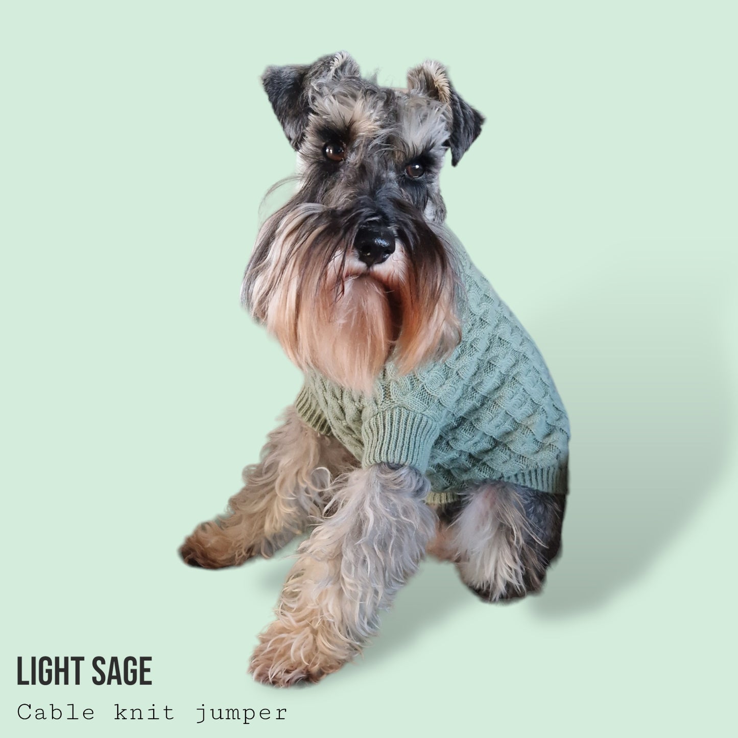 Cable Knit Jumper - Light Sage