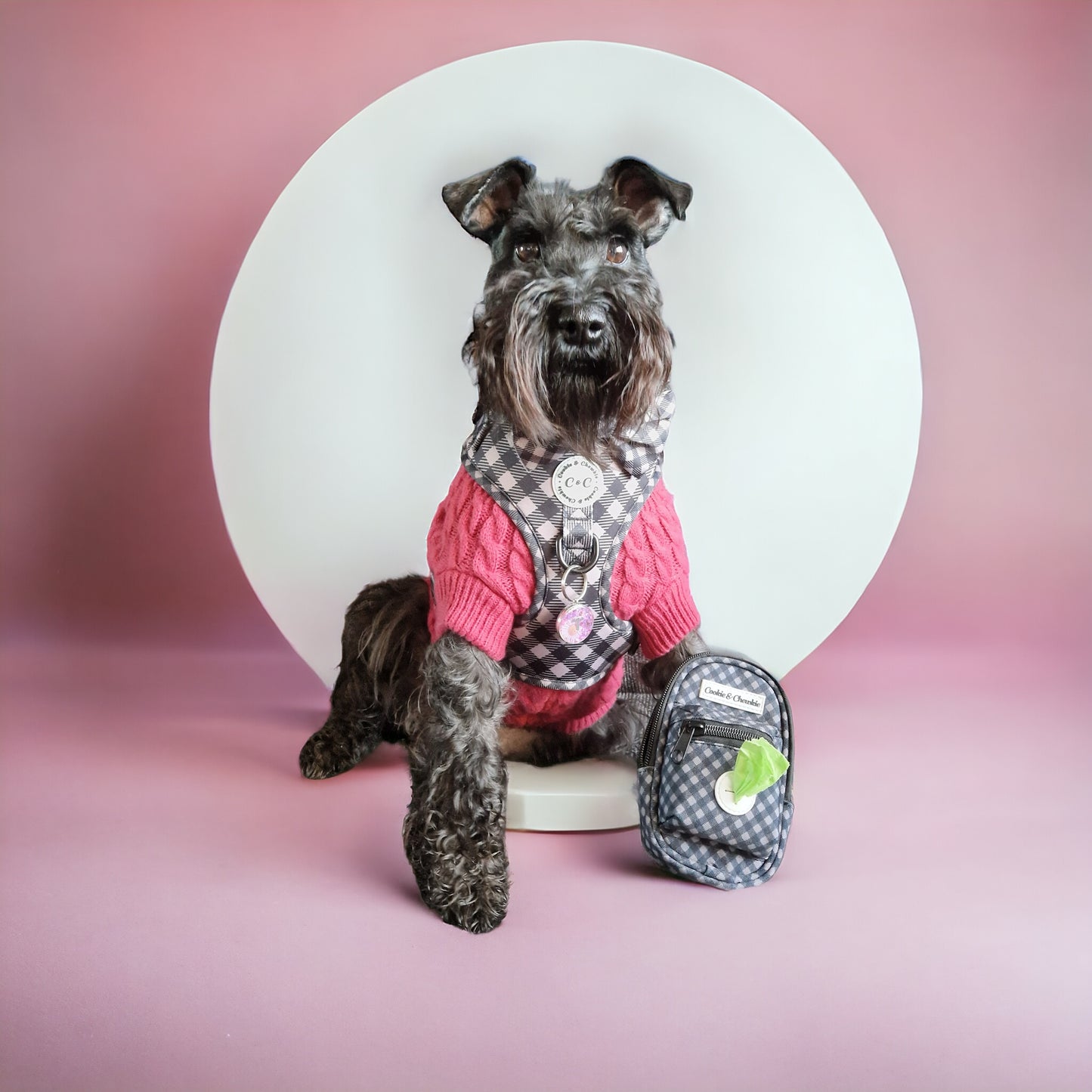 Treat Pouch - Livin' la Vida Mocha