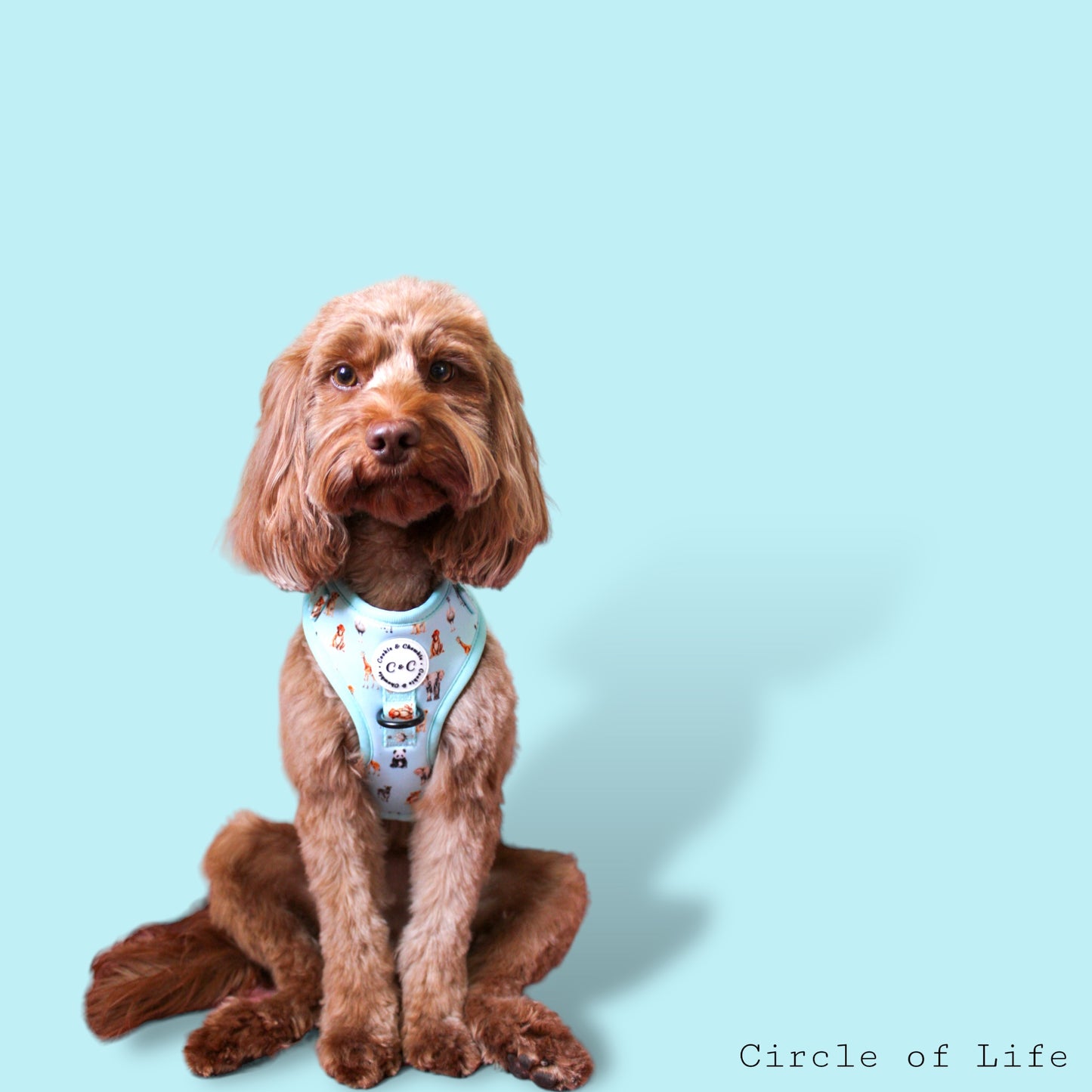 Adjustable harness - 'Circle of Life'