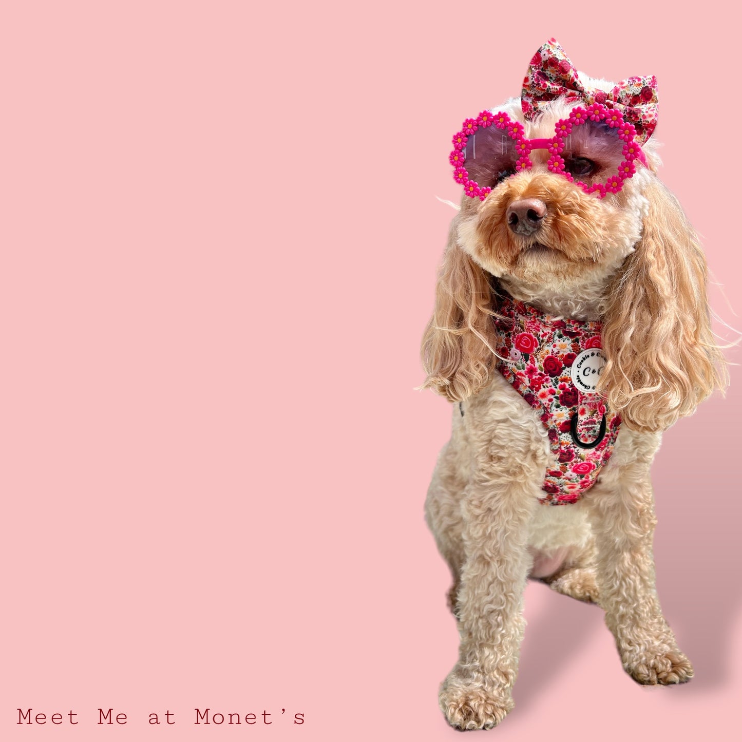Adjustable Harness - 'Meet Me At Monet's'