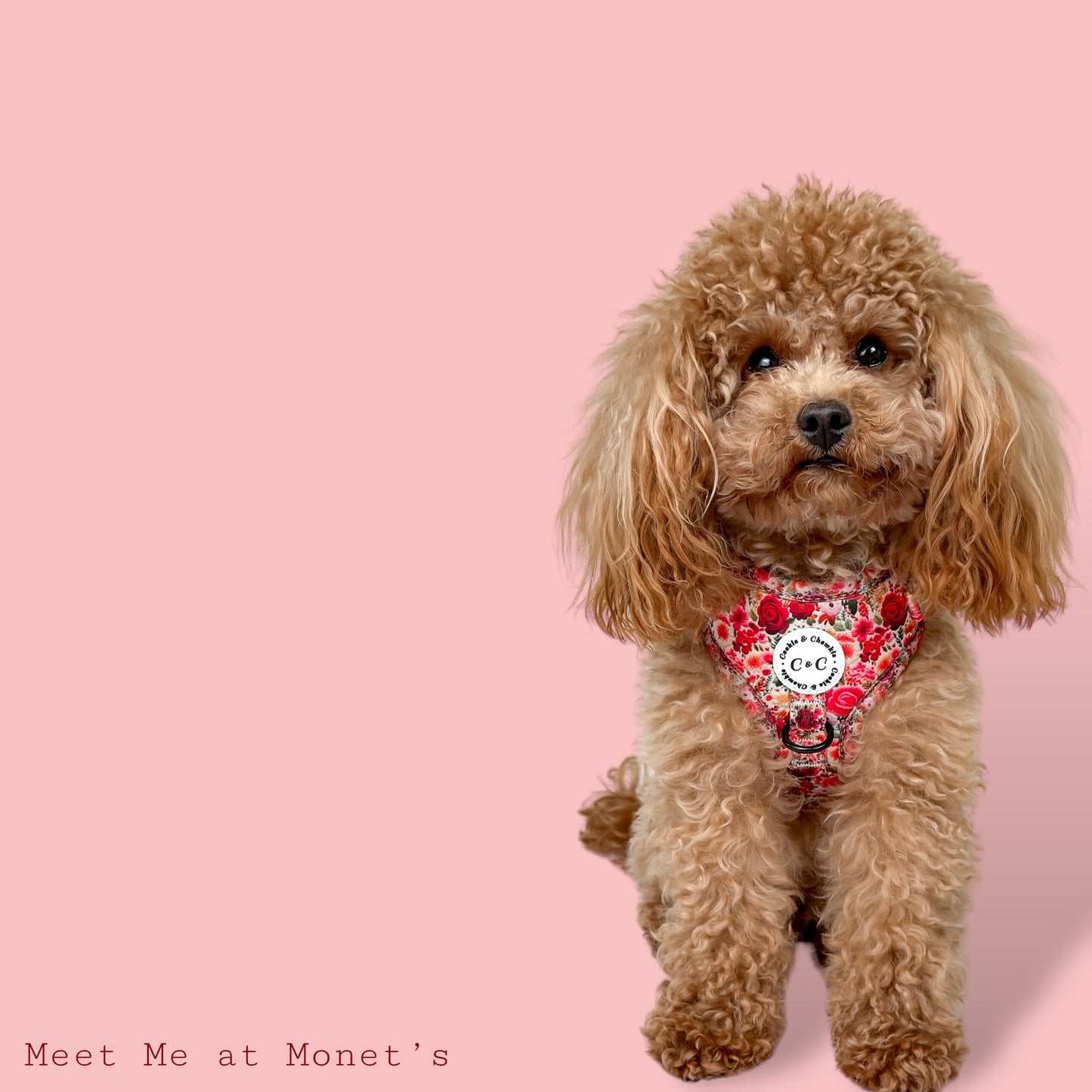 Adjustable Harness - 'Meet Me At Monet's'