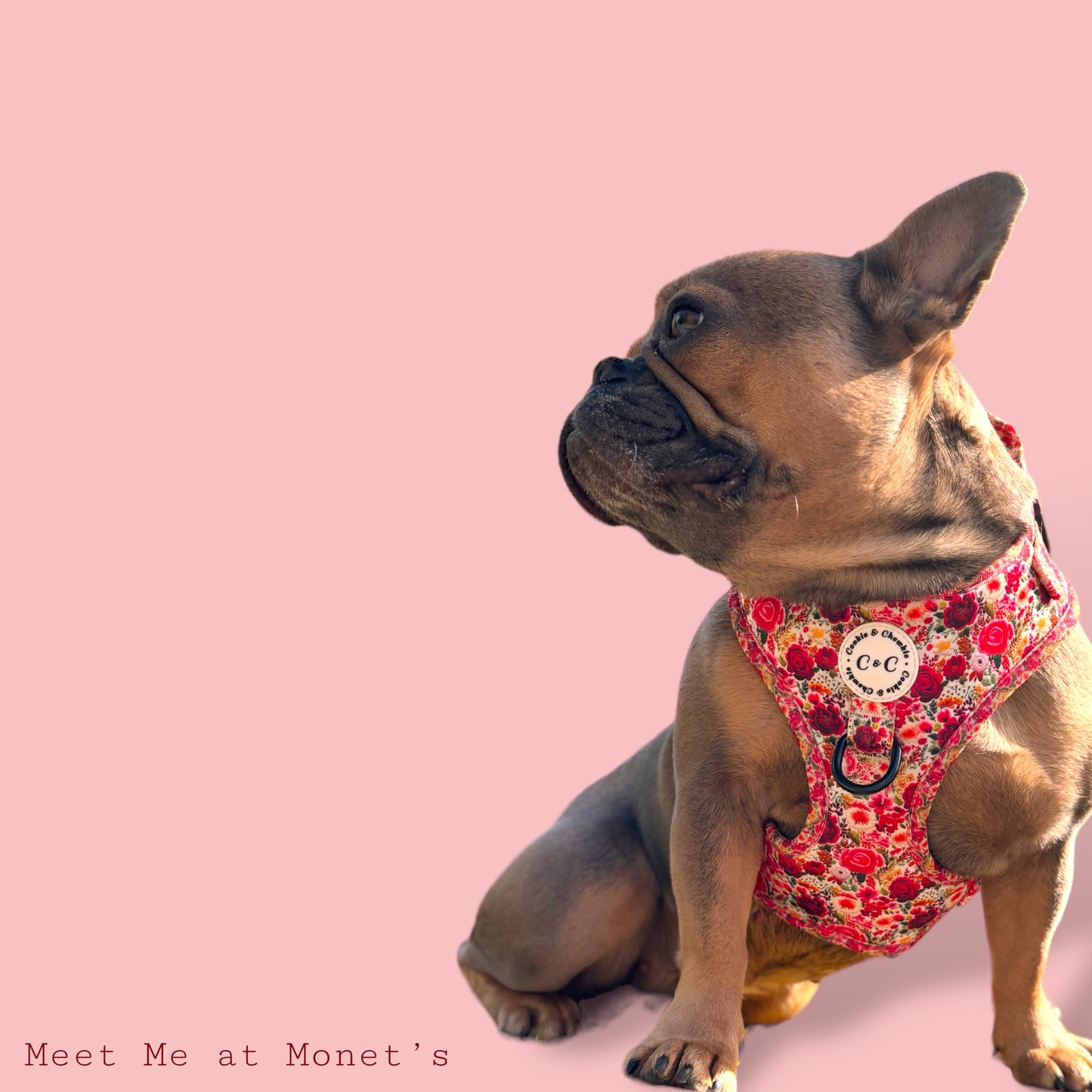 Adjustable Harness - 'Meet Me At Monet's'
