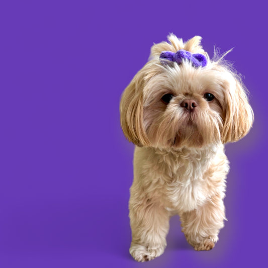 FLUFFIES Hair/Fur Bow - 'Casia'