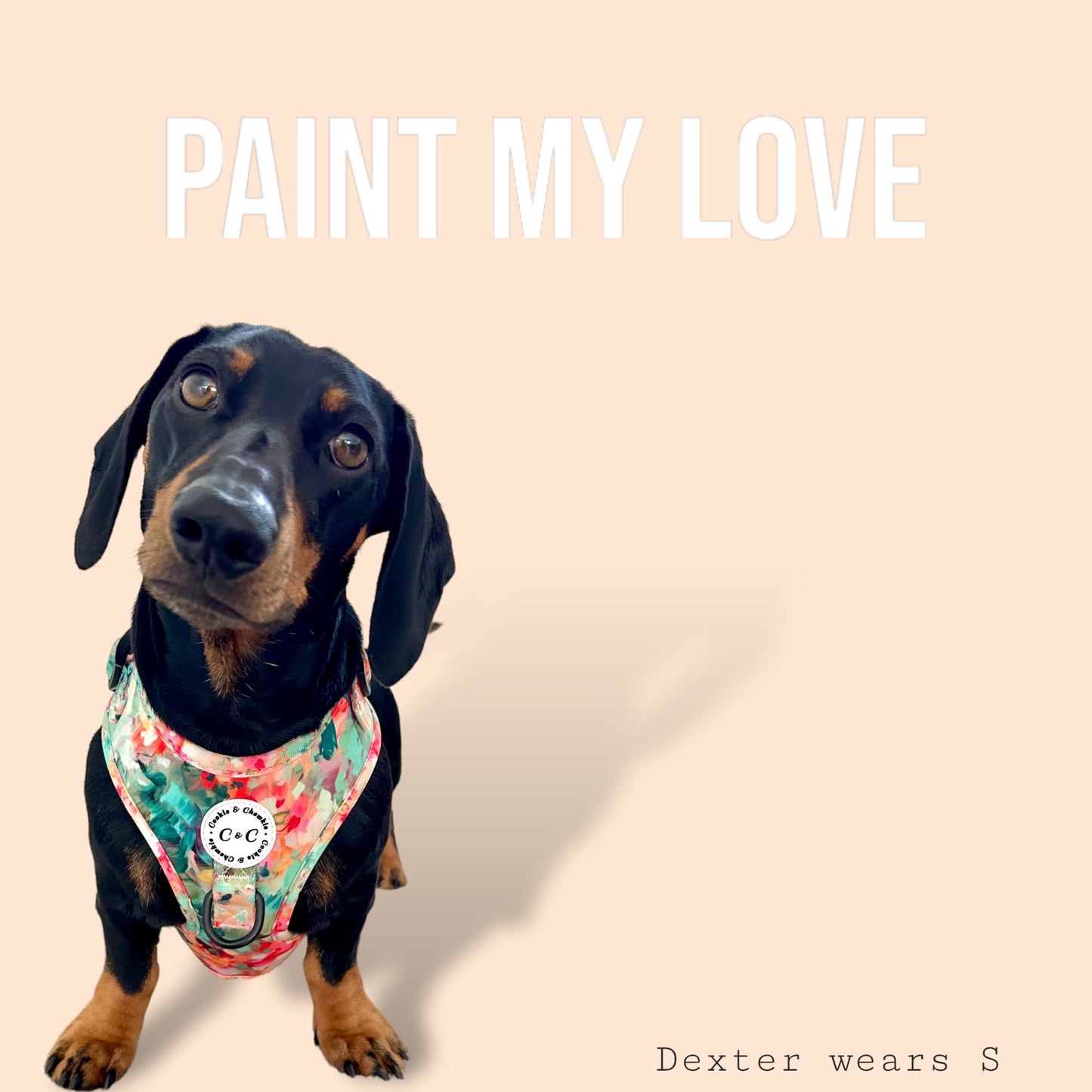 Adjustable Harness - 'Paint My Love'