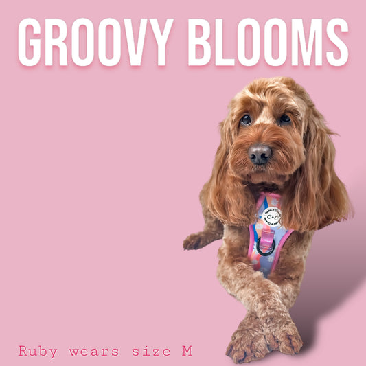 Adjustable TUFF Harness - 'Groovy Blooms'