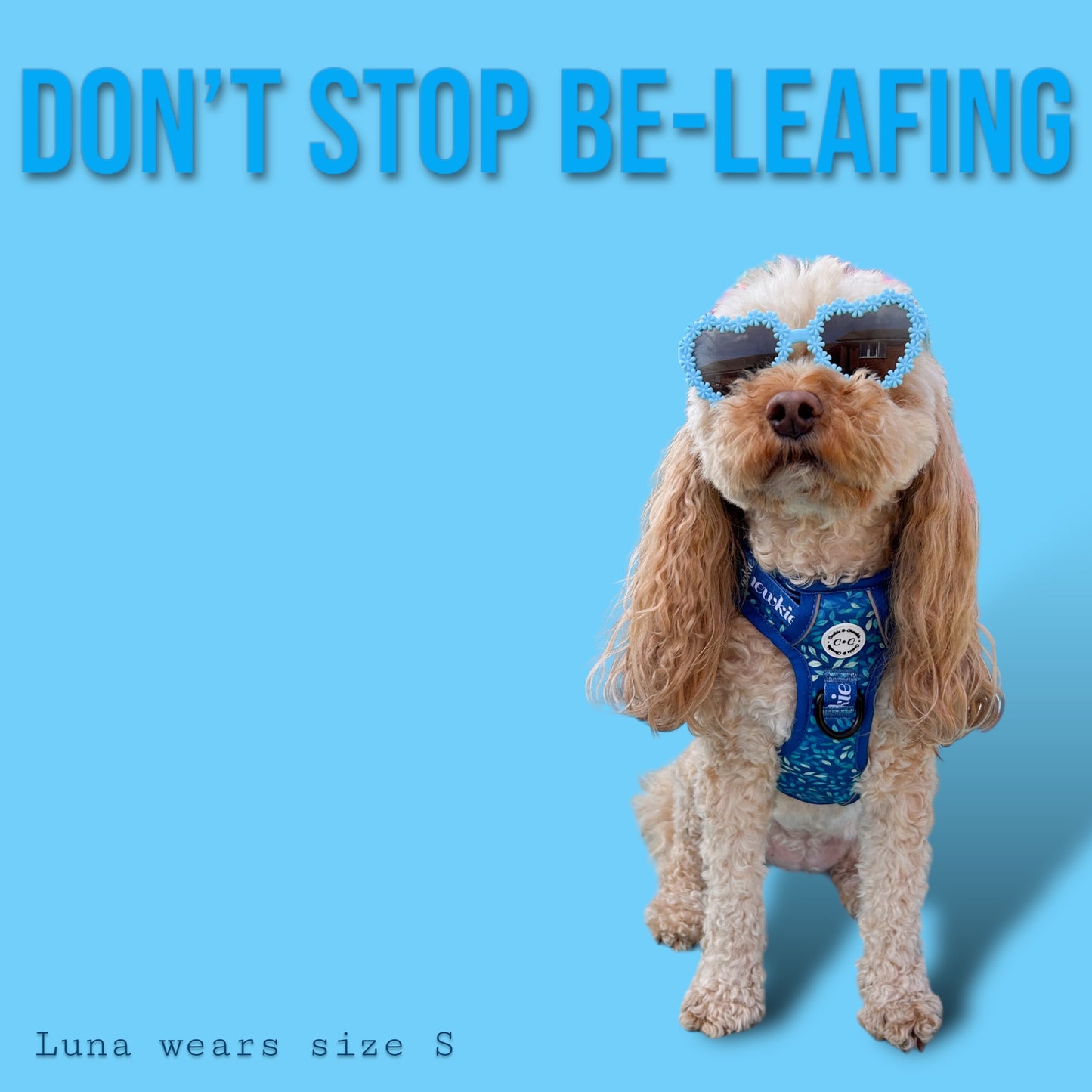 Adjustable TUFF Harness - 'Don't Stop Be-Leafing'
