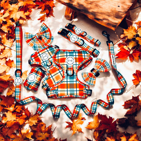 Bow Tie - 'Plaid Romance'