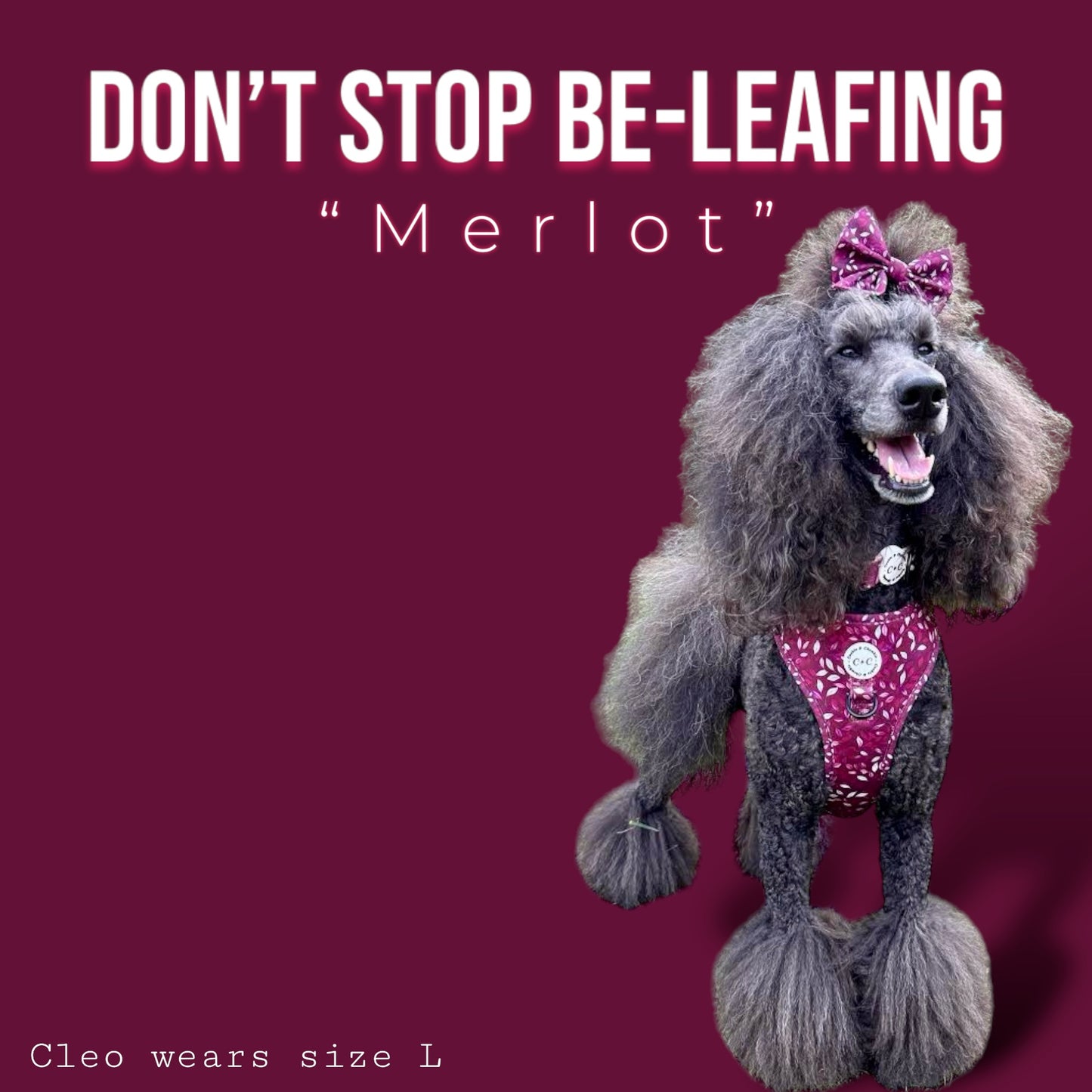 Adjustable Harness - 'Don't Stop Be-Leafing - Merlot'