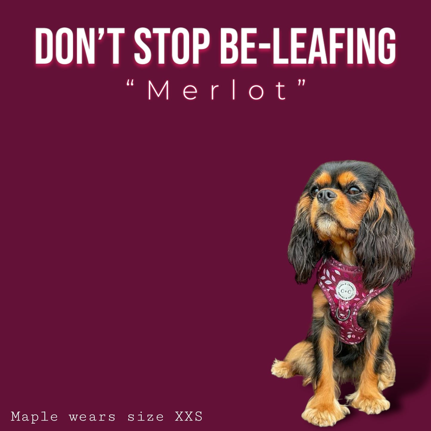 Adjustable Harness - 'Don't Stop Be-Leafing - Merlot'