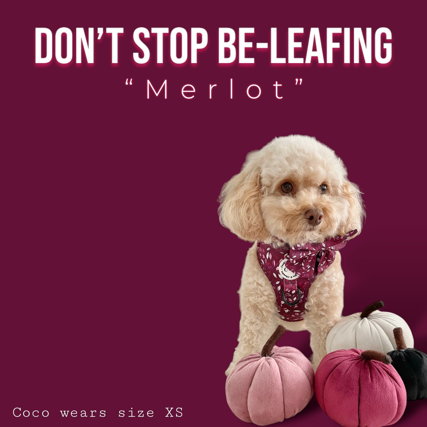 Adjustable Harness - 'Don't Stop Be-Leafing - Merlot'