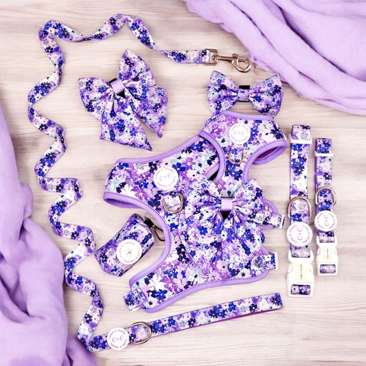 Lead – 'Reine des Fleurs'