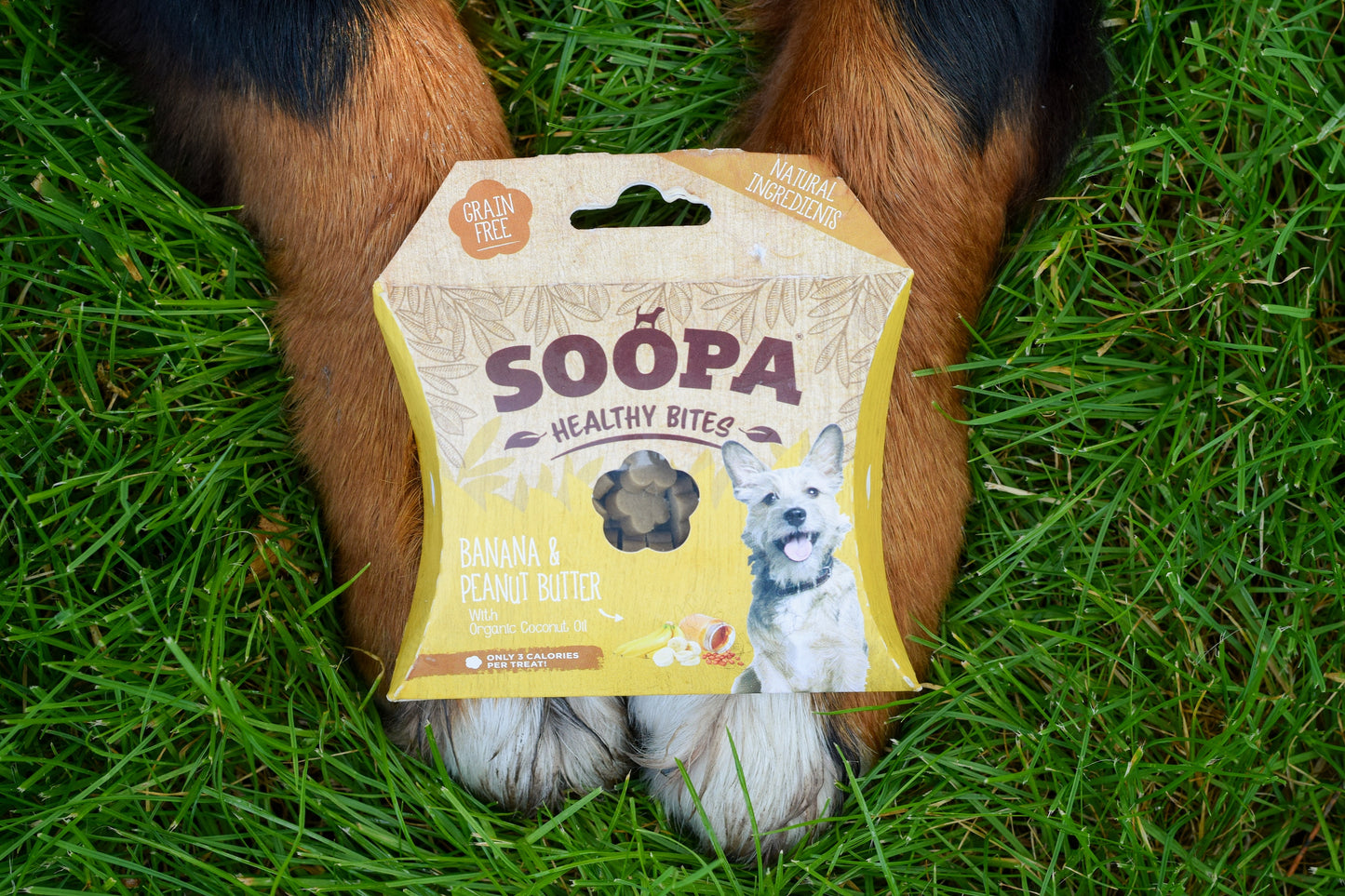 Soopa Healthy Bites Banana & Peanut Butter