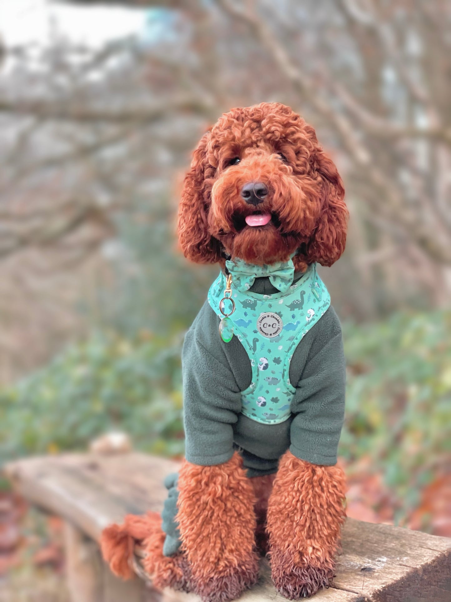 Adjustable Harness - 'Puppasaurus'