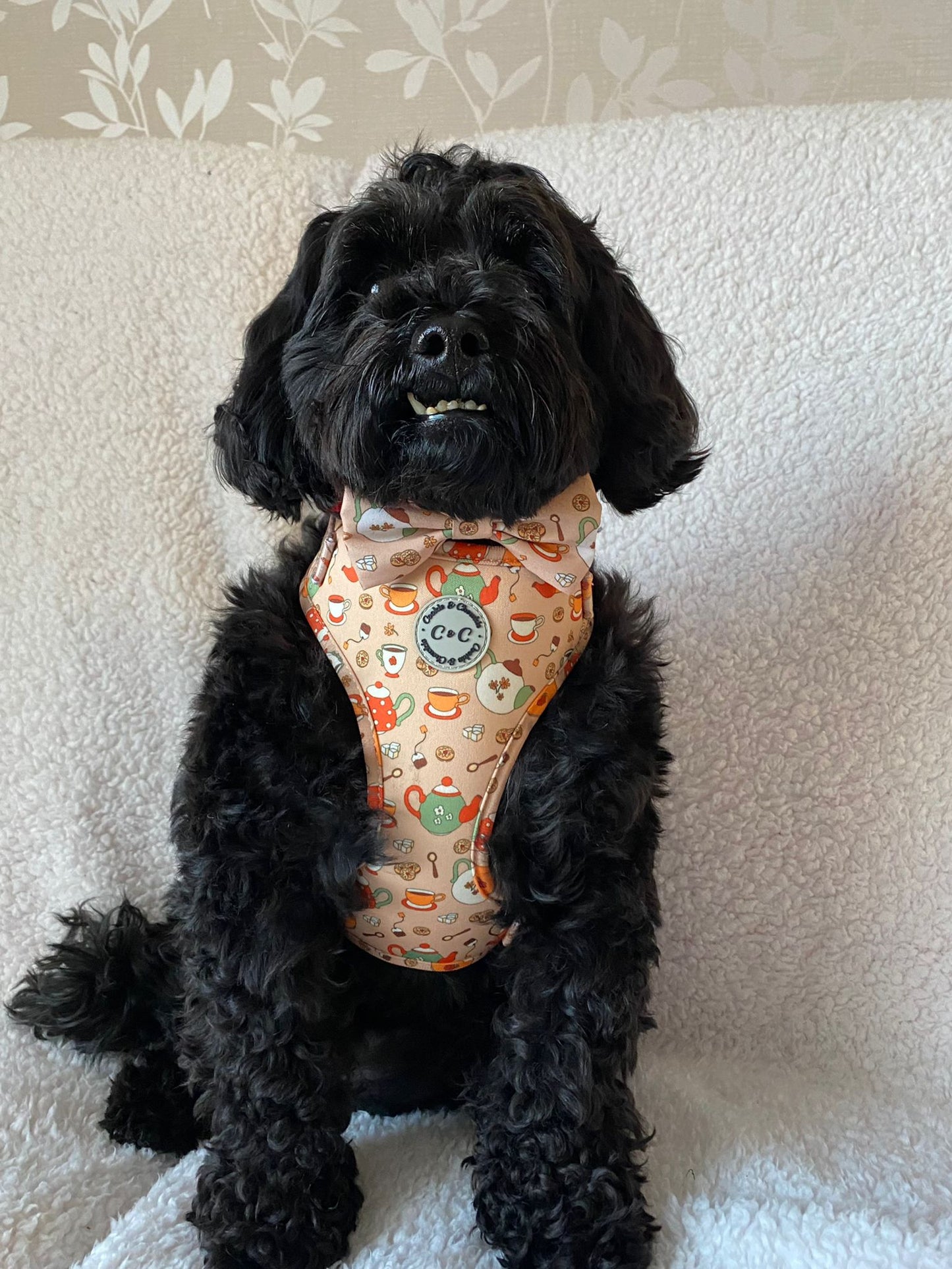 Bow Tie - 'Cup of Pawsitivitea'