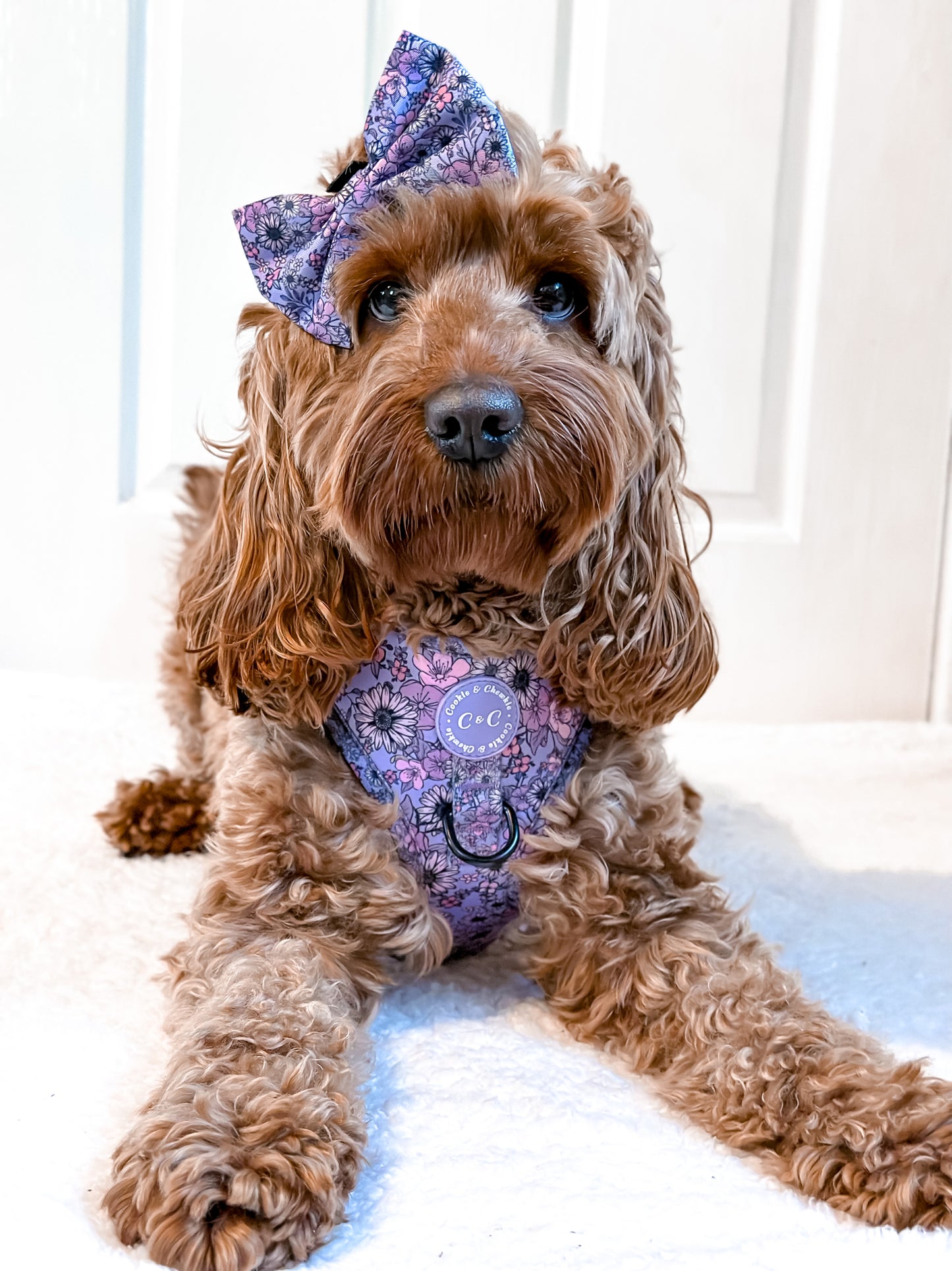 Bow Tie - 'I Can Buy Myself Flowers'