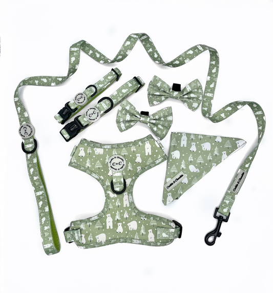 Collar - 'The Ice Sage'