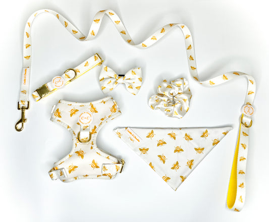 Lead – ‘Bee You’