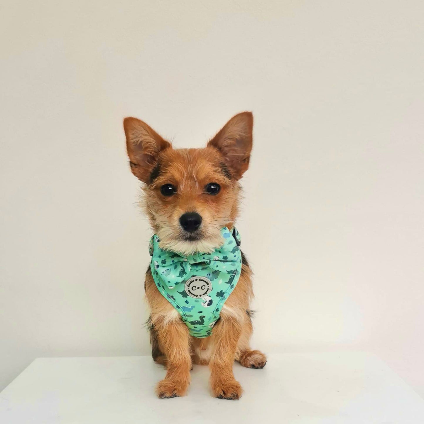 Adjustable Harness - 'Puppasaurus'