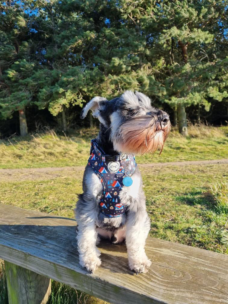 Adjustable Harness - 'The Good Life'
