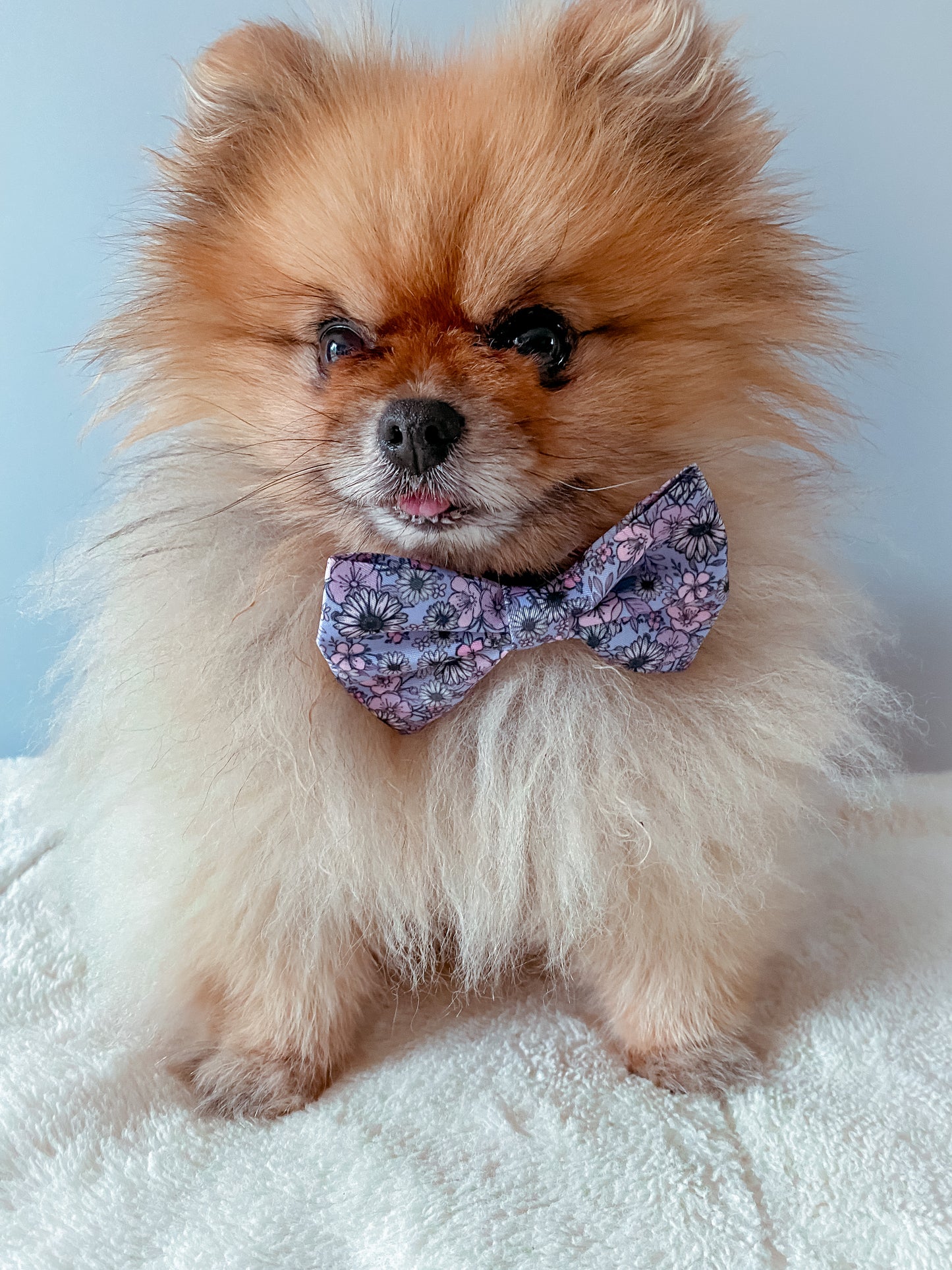 Bow Tie - 'I Can Buy Myself Flowers'
