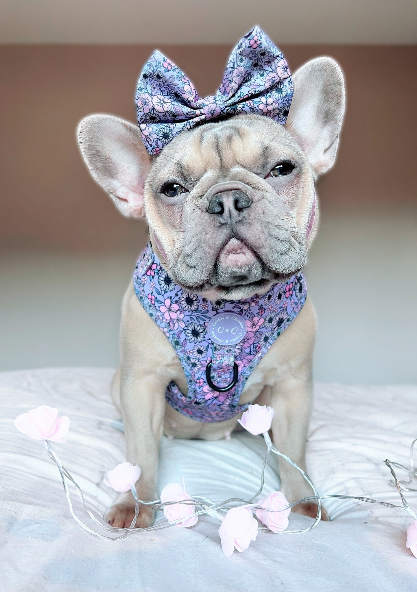 Bow Tie - 'I Can Buy Myself Flowers'