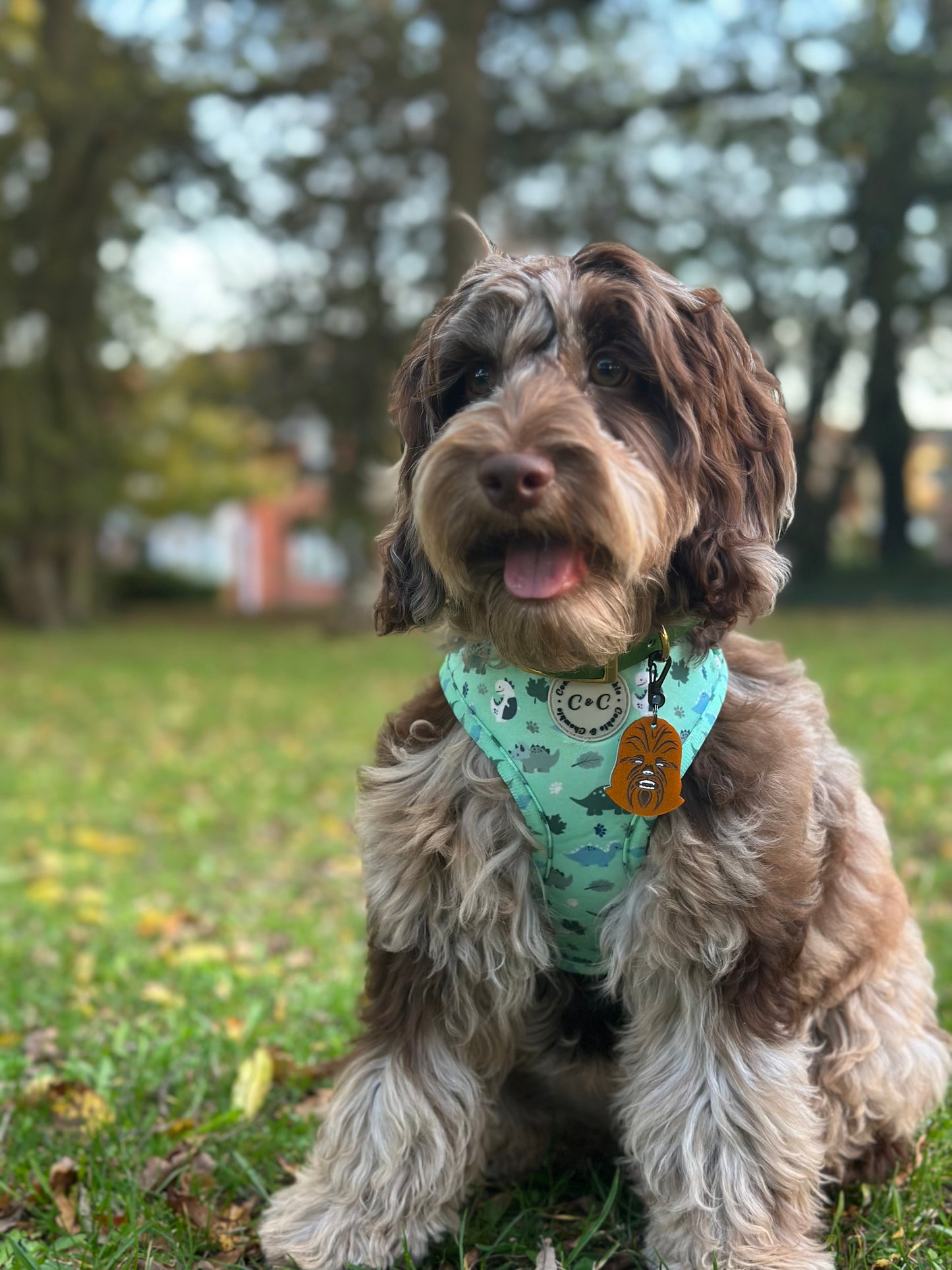 Adjustable Harness - 'Puppasaurus'