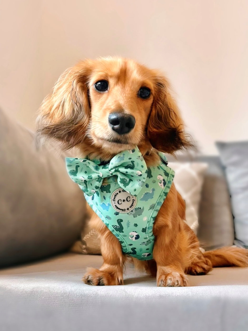 Adjustable Harness - 'Puppasaurus'