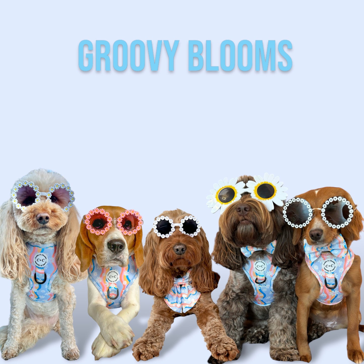 Adjustable Harness - 'Groovy Blooms'