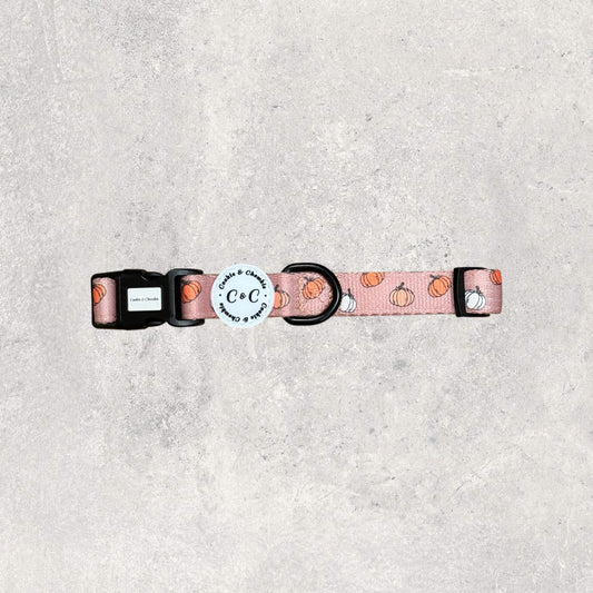 Collar - 'Cinderella Latte'