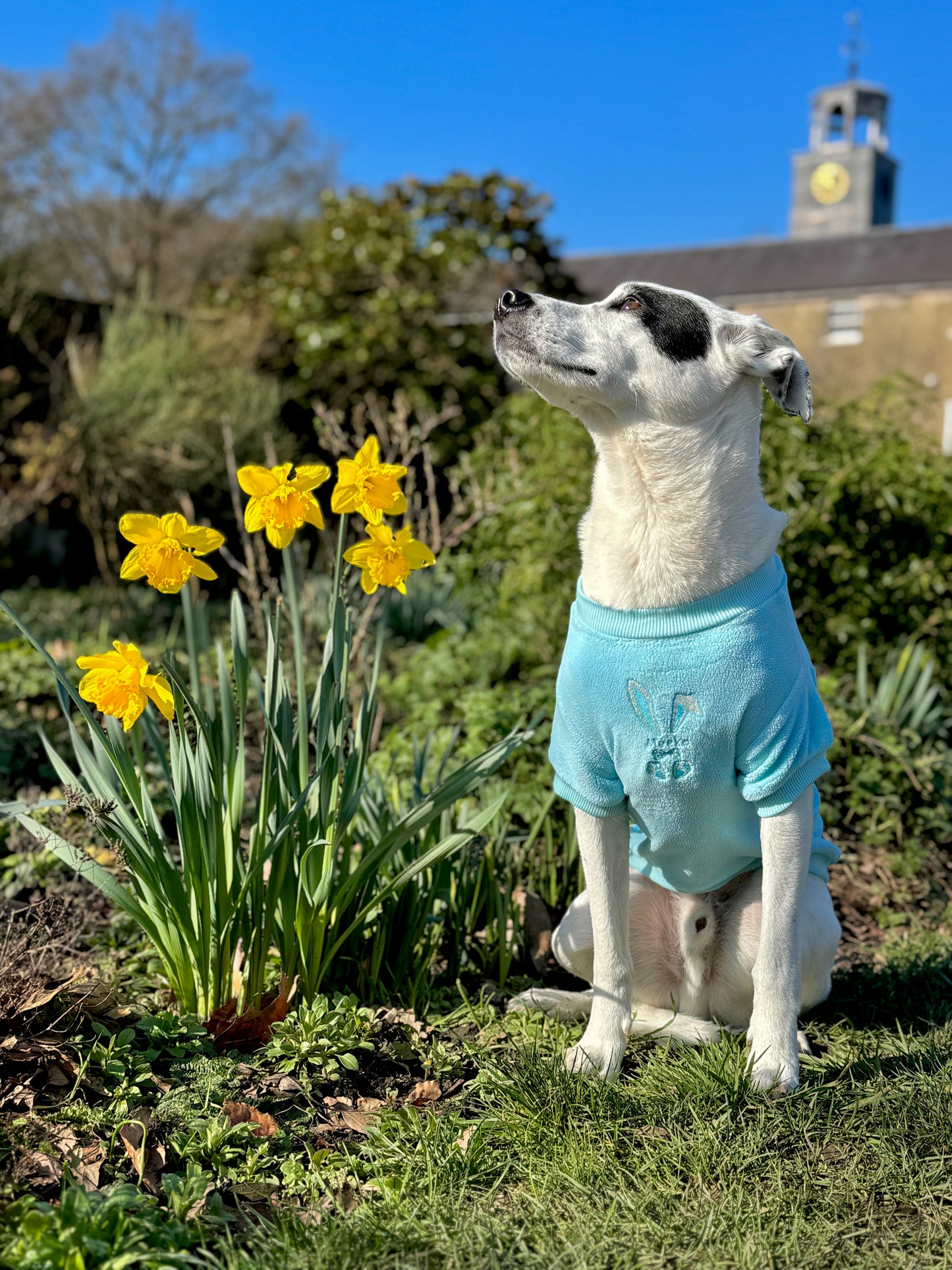 COZIES Fleece Sweatshirt - Baby Blue