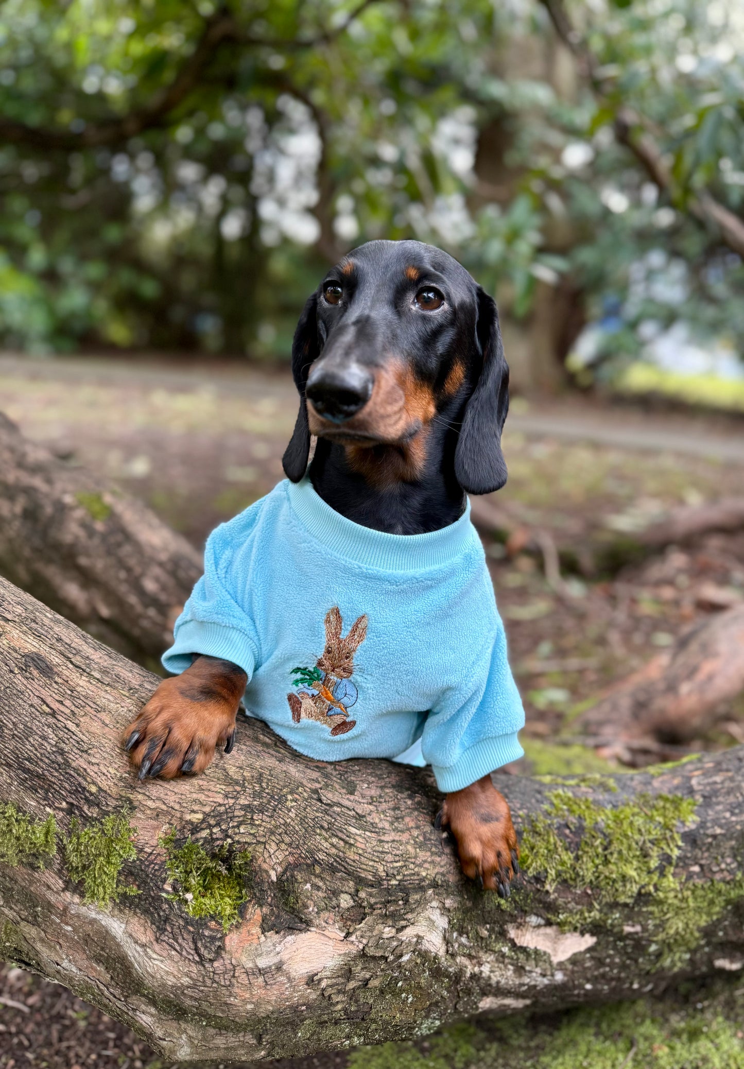 COZIES Fleece Sweatshirt - Baby Blue