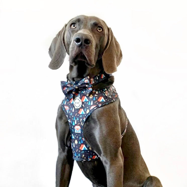 Adjustable Harness - 'The Good Life'