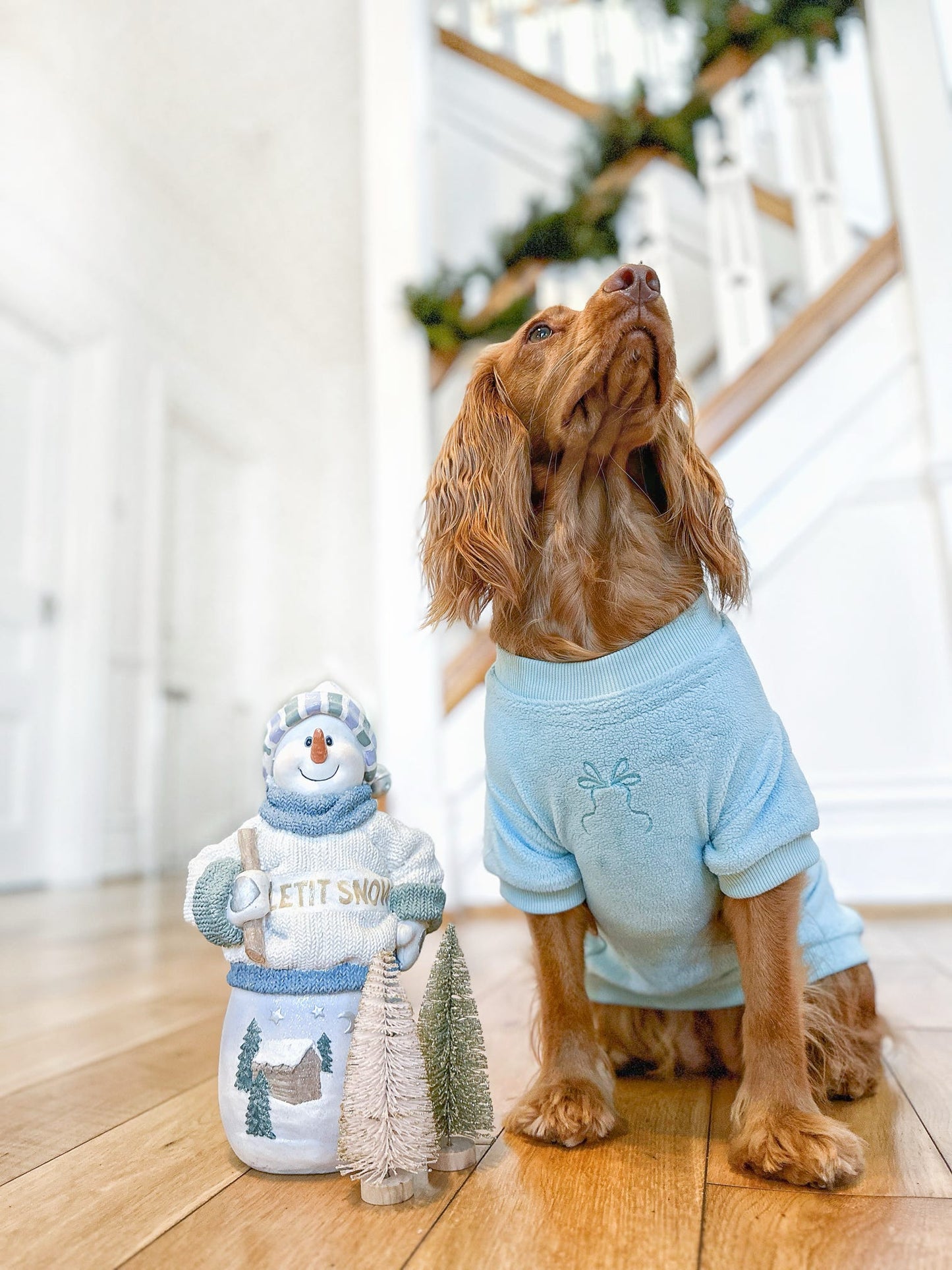 COZIES Fleece Sweatshirt - Baby Blue