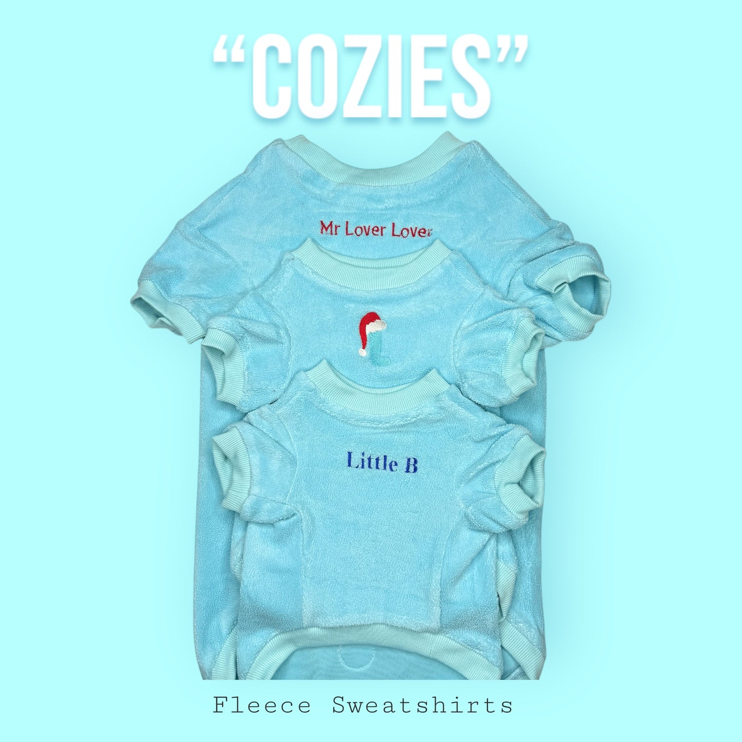 COZIES Fleece Sweatshirt - Baby Blue