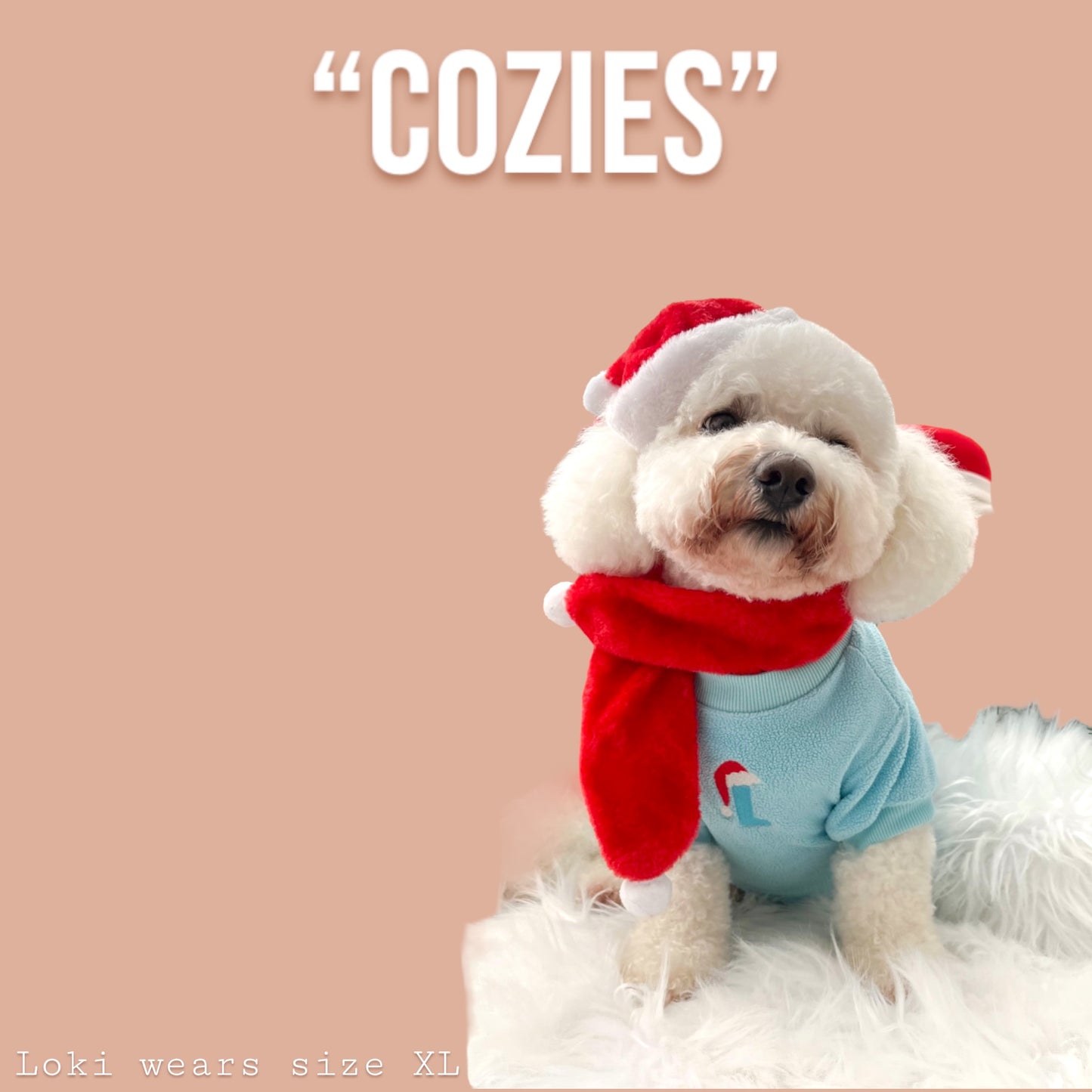 COZIES Fleece Sweatshirt - Baby Blue