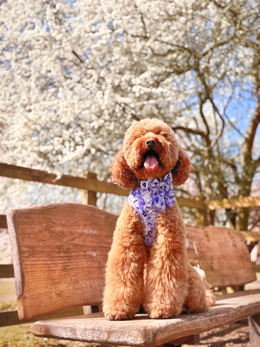 Adjustable Harness - 'Reine des Fleurs'