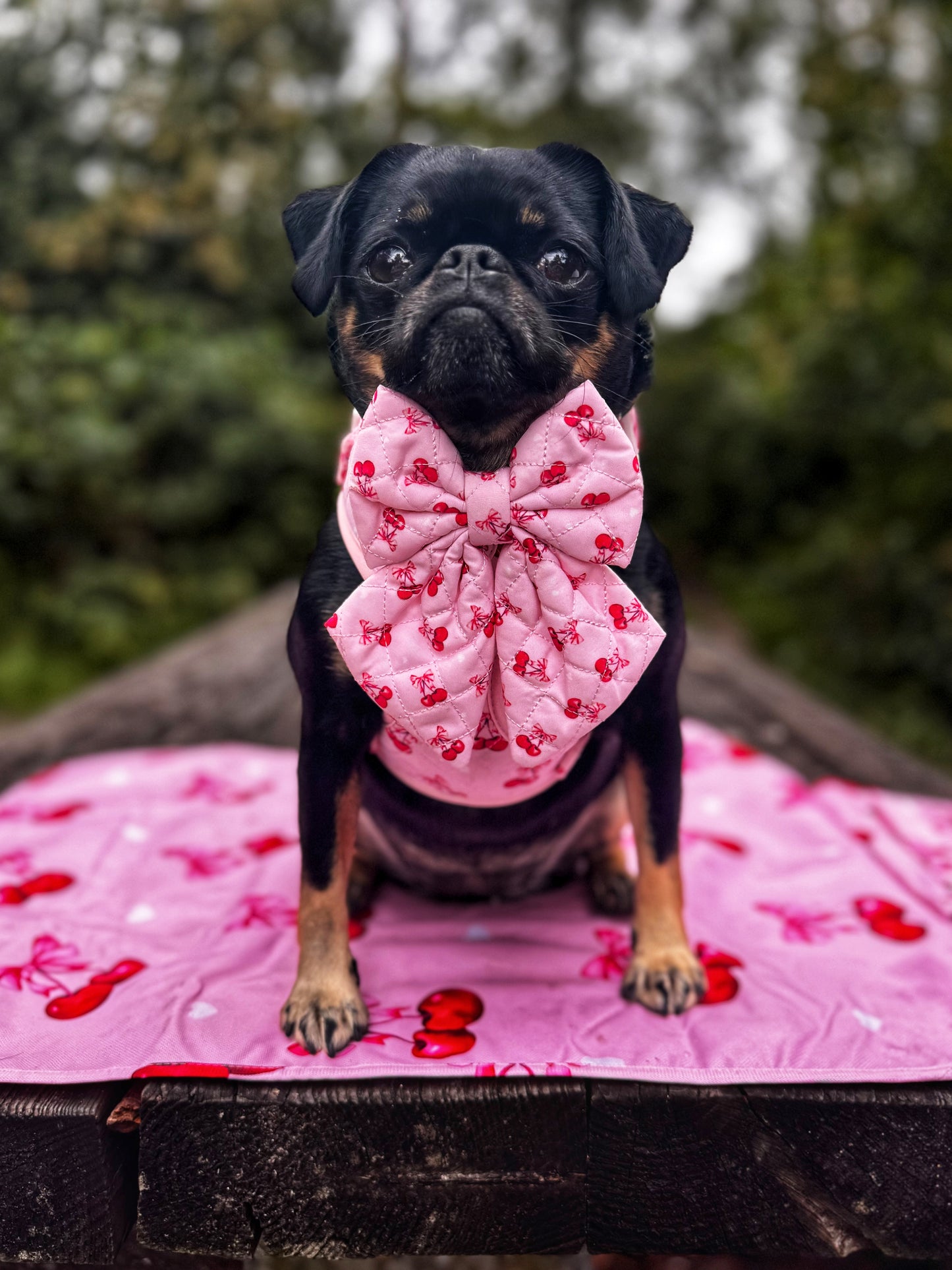 Sailor Bow - 'Chérie Amour'