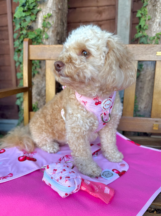 Poop Bag Holder – 'Chérie Amour'
