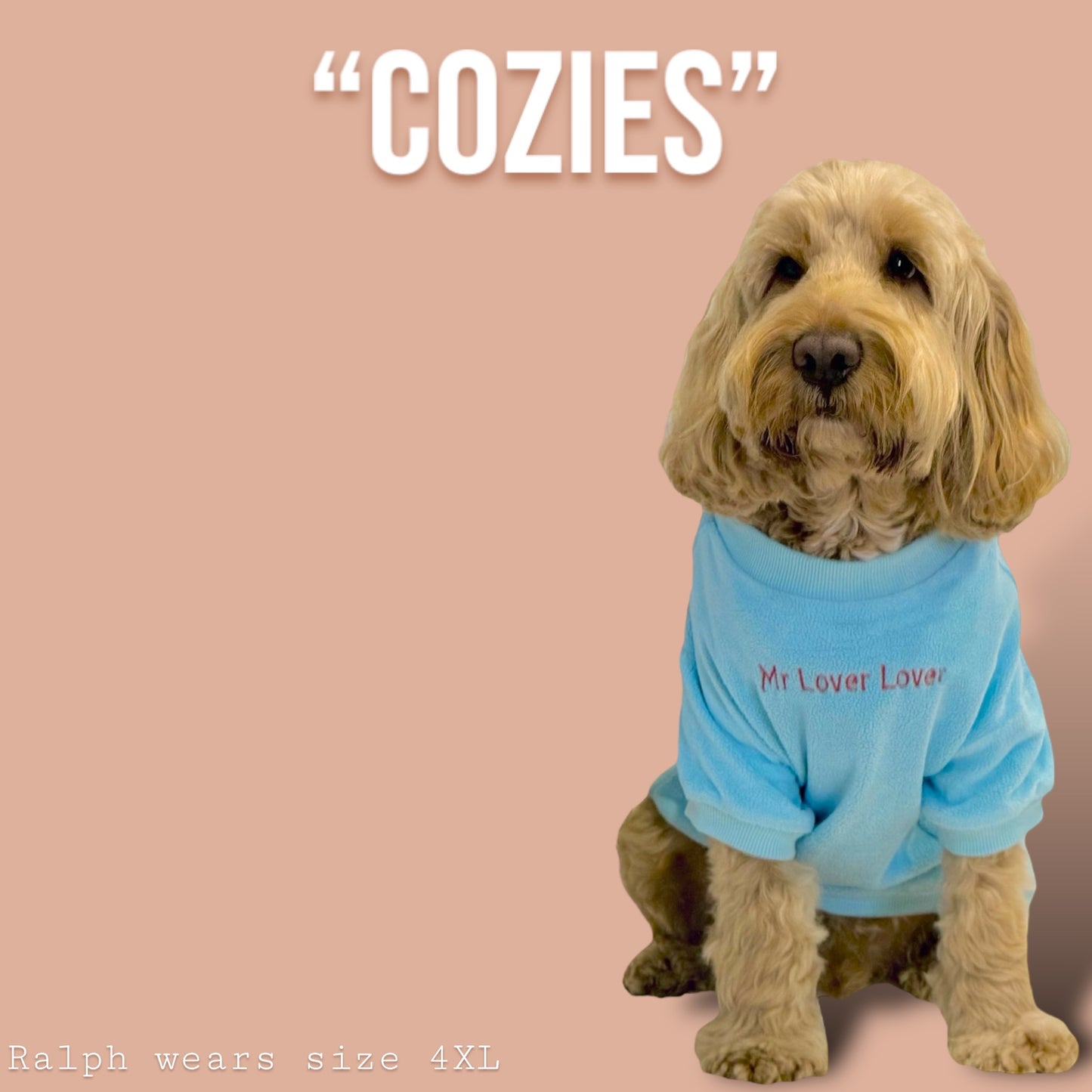 COZIES Fleece Sweatshirt - Baby Blue
