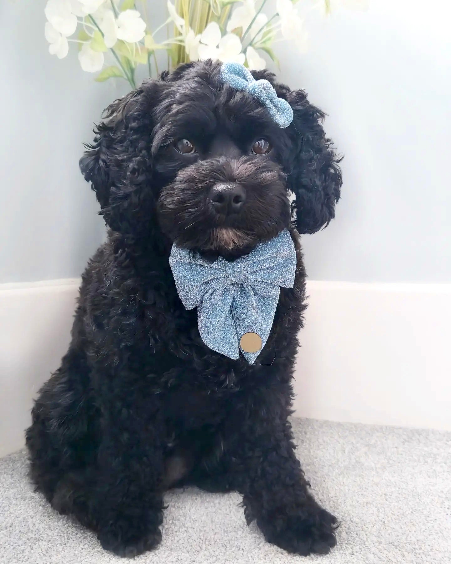 SPARKLES Hair/Fur Bow - 'Elsa'