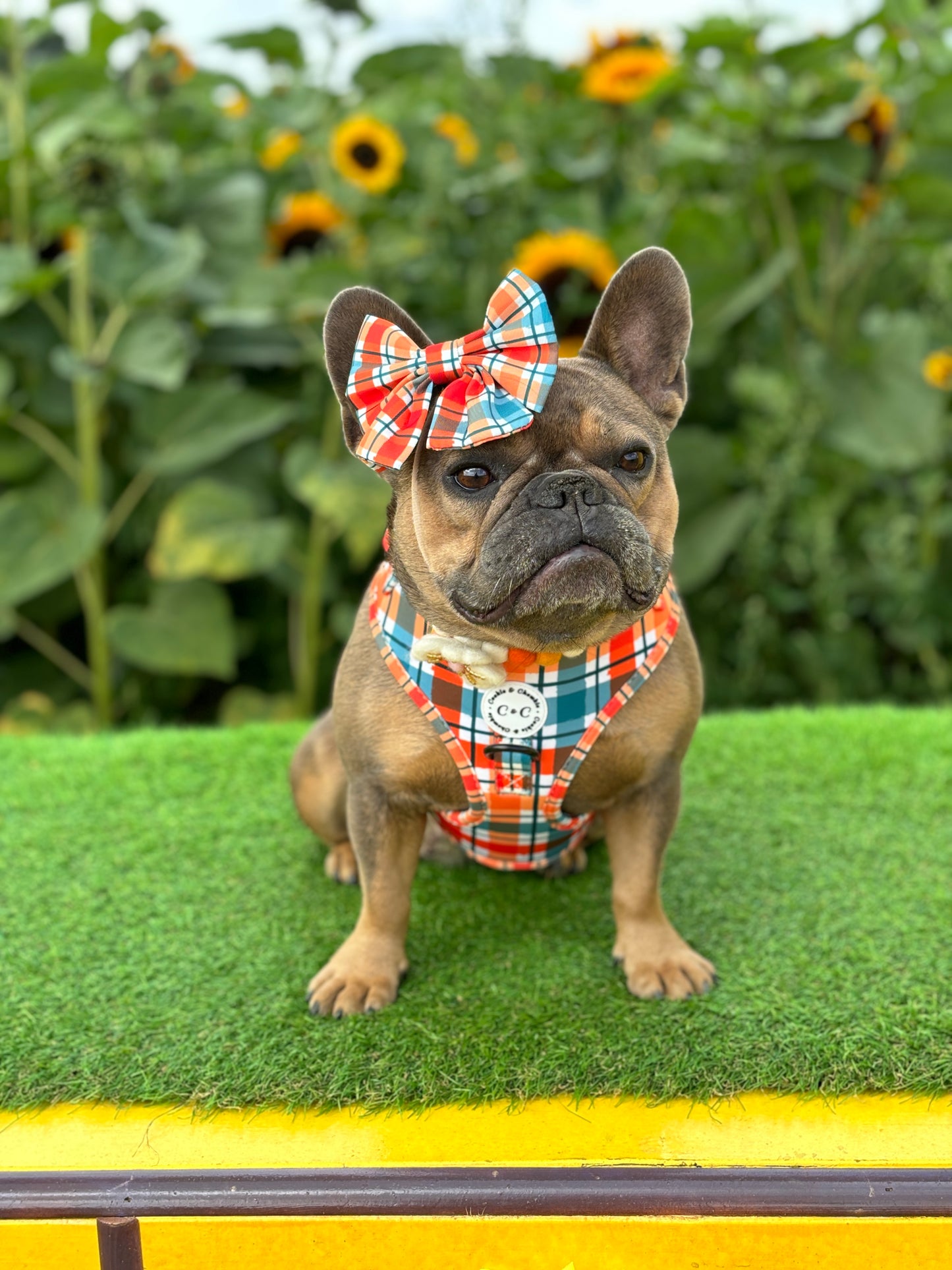 Bow Tie - 'Plaid Romance'