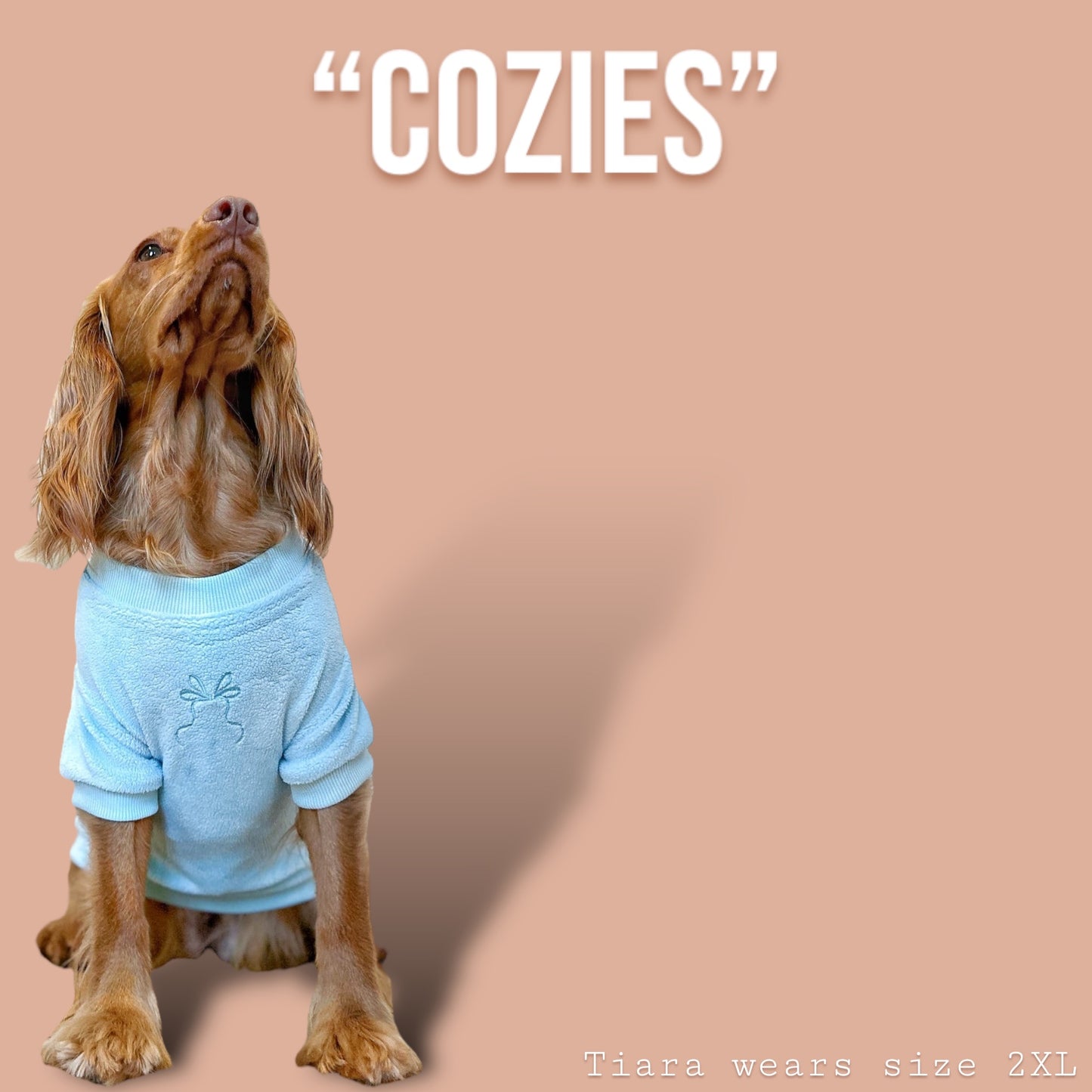 COZIES Fleece Sweatshirt - Baby Blue