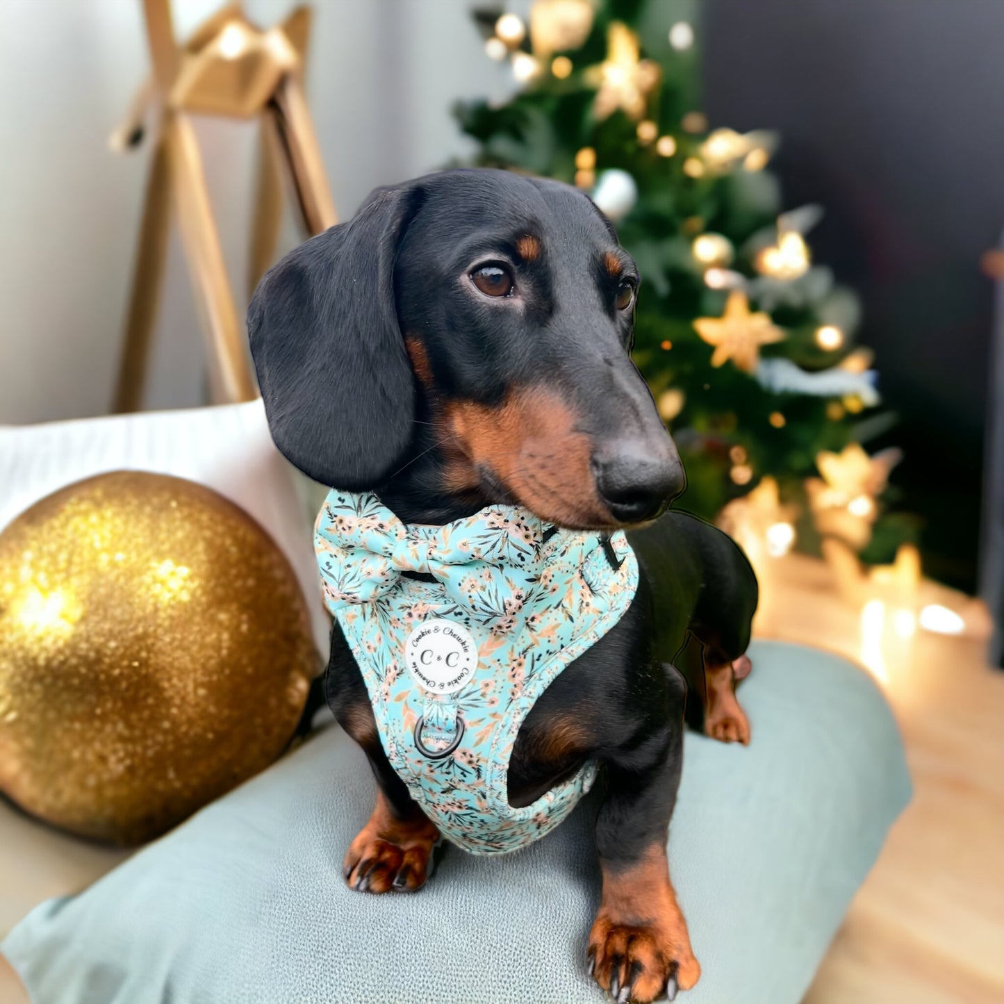 Bow Tie - 'Baby, it's Gold outside'