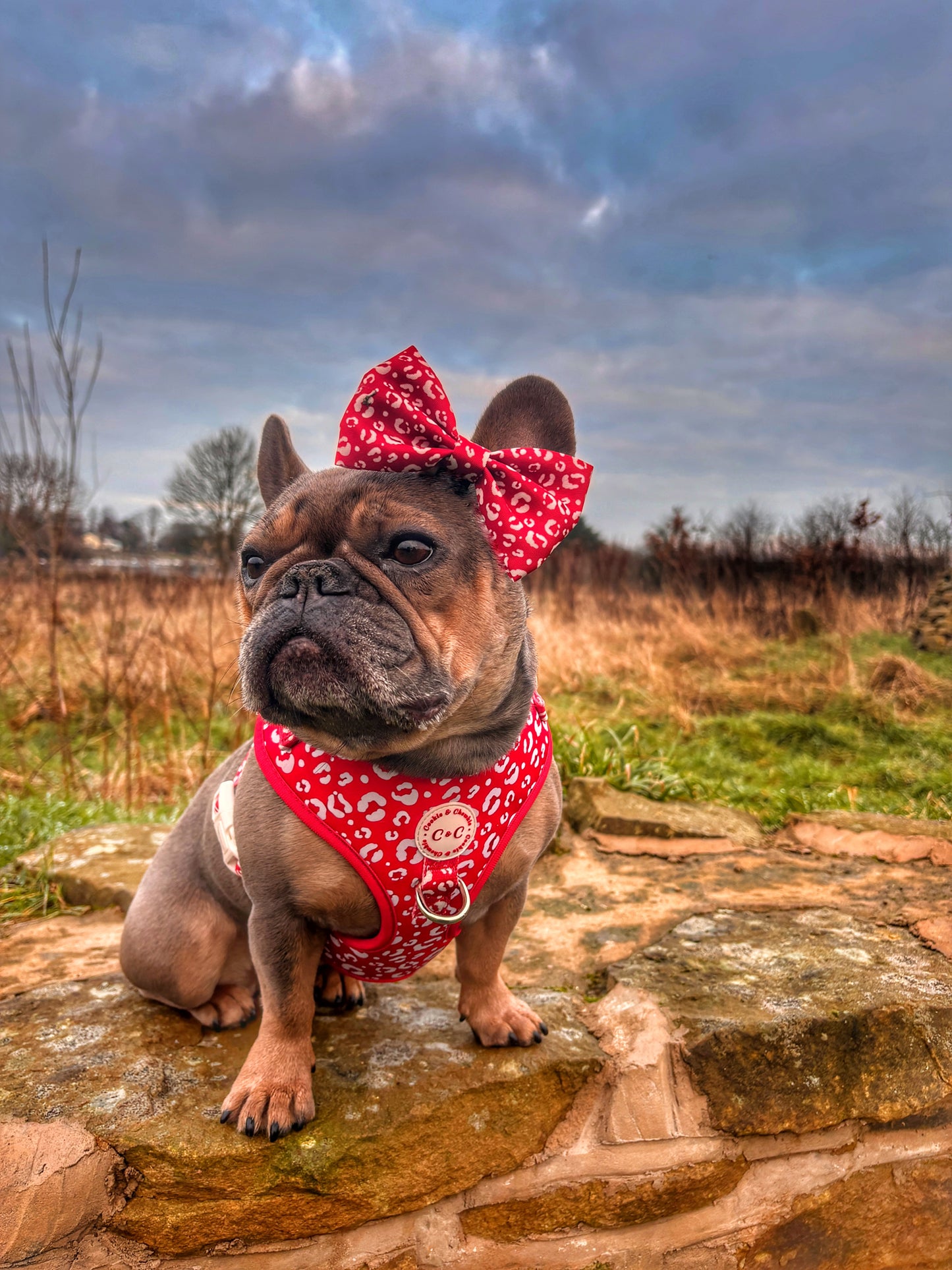 Bow Tie - 'Wildest Dreams - Rouge'
