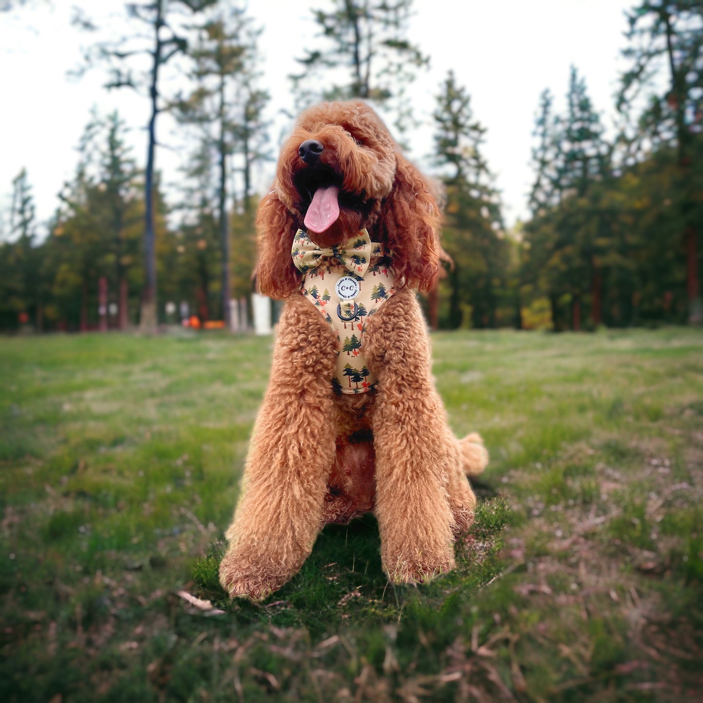 Bow Tie - 'Squirrel Pawtrol'