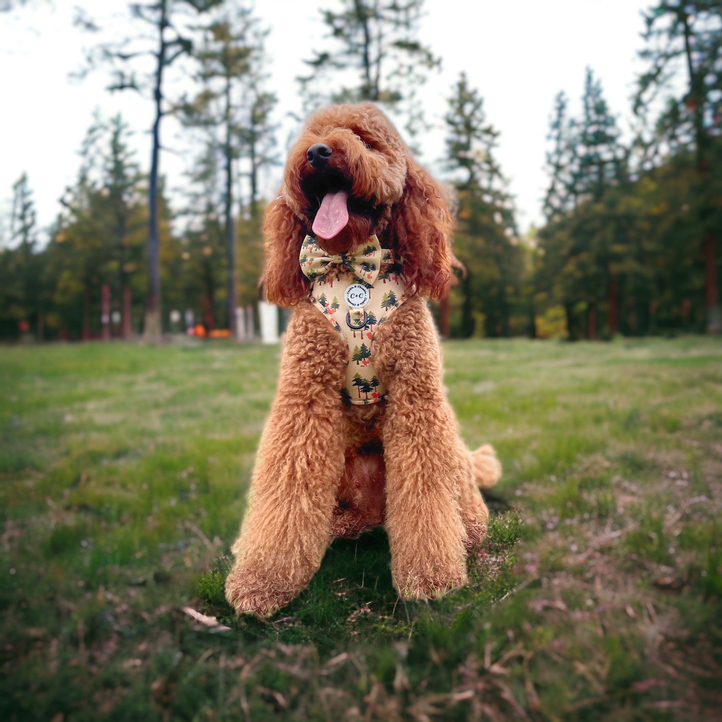 Bow Tie - 'Squirrel Pawtrol'